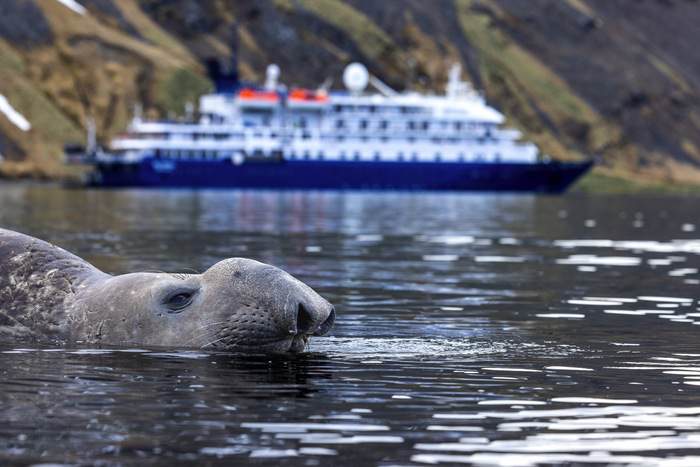 Sea Spirit Wildlife ©Poseidon Expeditions, Piet Van Den Bemd.jpg